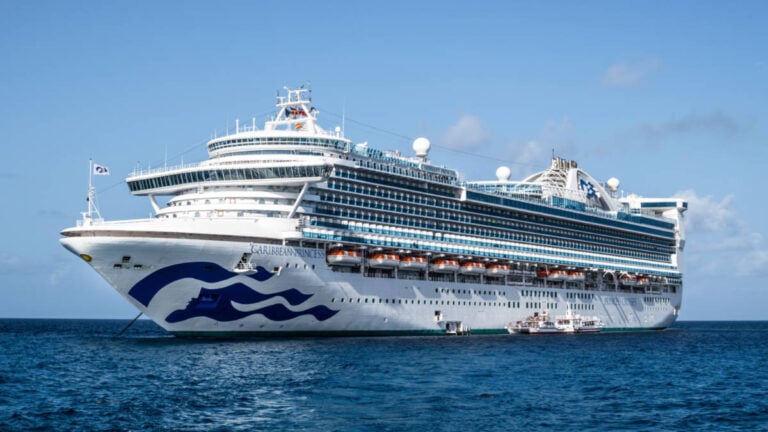 Caribbean Princess Cruise Ship Suddenly Loses Power While at Sea
