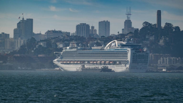Princess Cruise Ship Hit by Outbreak as 125 Fall Ill on Alaska Voyage