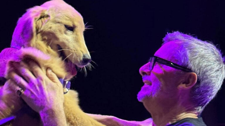 Royal Caribbean CEO Asks Cruisers to Name New Chief Dog Officer