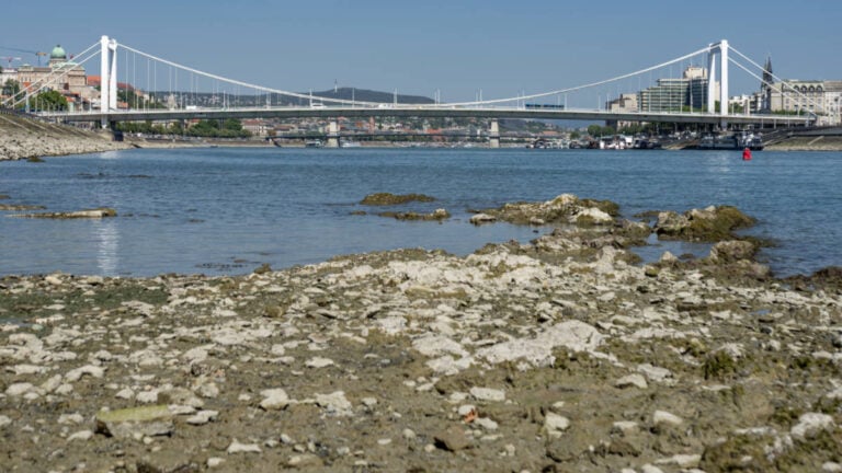 Historic Drought Leaves Europe’s Busiest Cruise Rivers Too Shallow to Sail