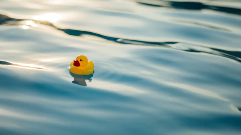 Another Cruise Line Asks Guests to Leave Ducks at Home